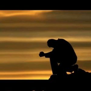 Meet your Posher, Mirna